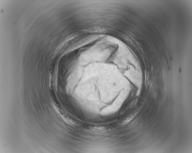 X0000053080157200508081254