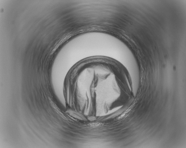 X0000053080158200508081254