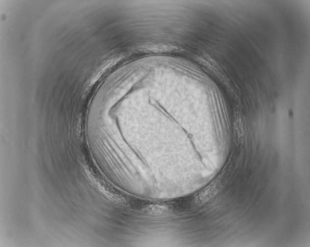 X0000053080159200508081254