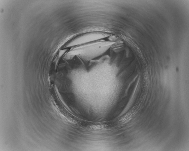 X0000053080160200508081254