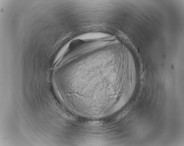 X0000053080161200508081254