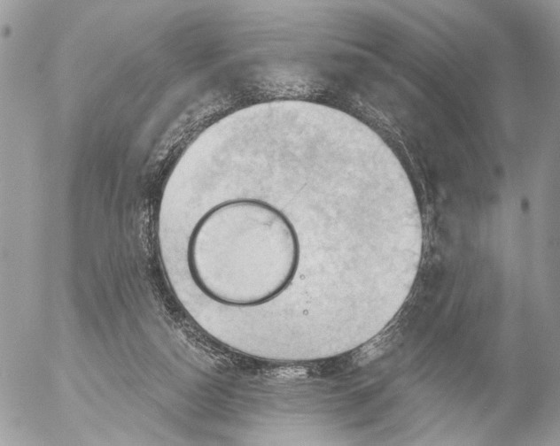 X0000053080162200508081254