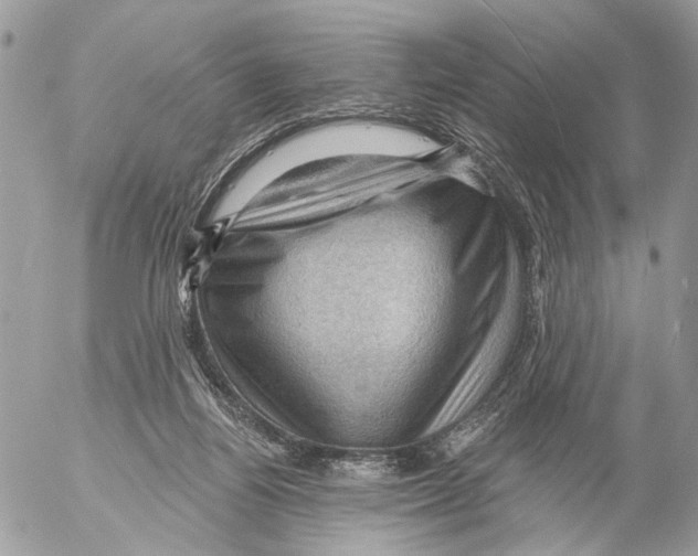 X0000053080164200508081254