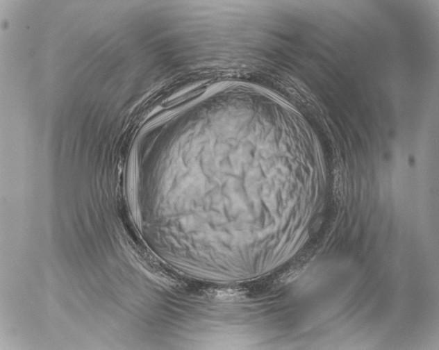 X0000053080165200508081254