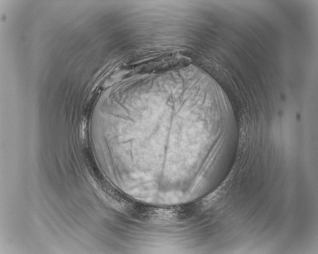 X0000053080166200508081254