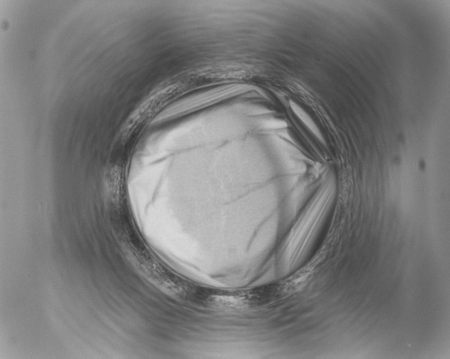 X0000053080167200508081254