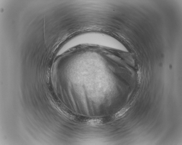 X0000053080168200508081254