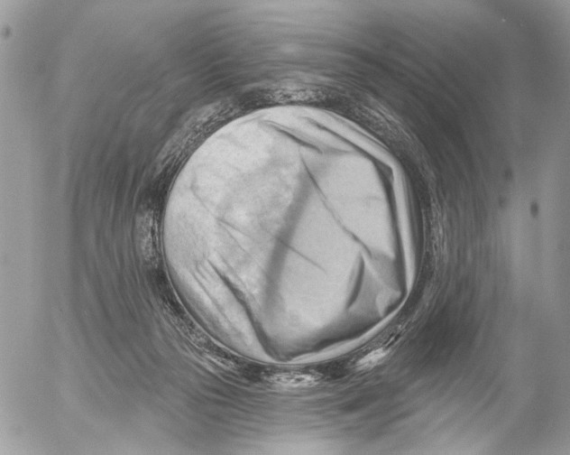 X0000053080169200508081254