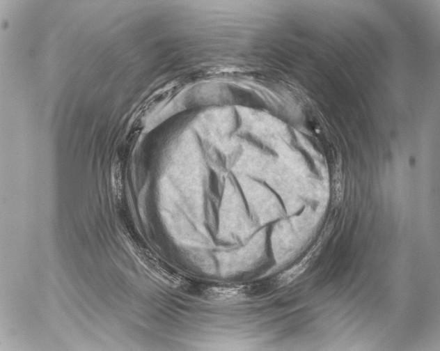 X0000053080170200508081254