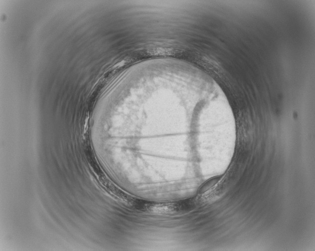 X0000053080171200508081254