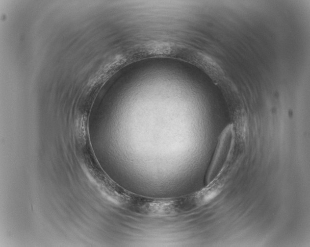 X0000053080172200508081254