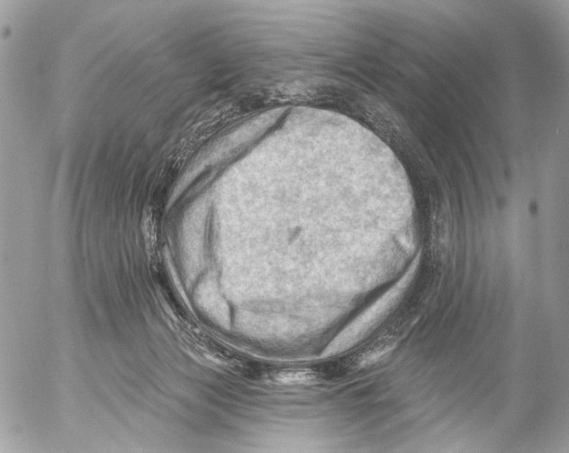 X0000053080173200508081254