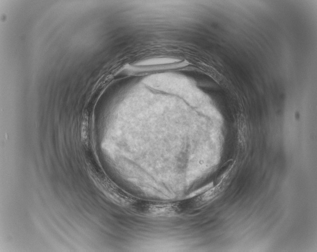 X0000053080175200508081254