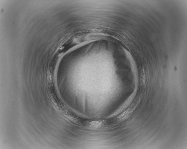 X0000053080176200508081254