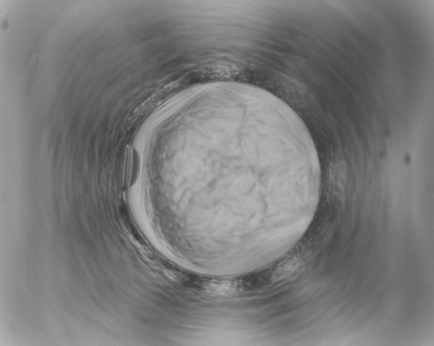 X0000053080177200508081254