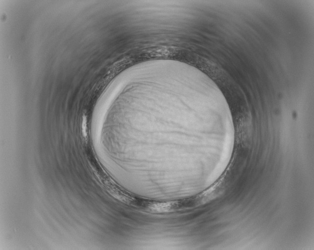 X0000053080178200508081254