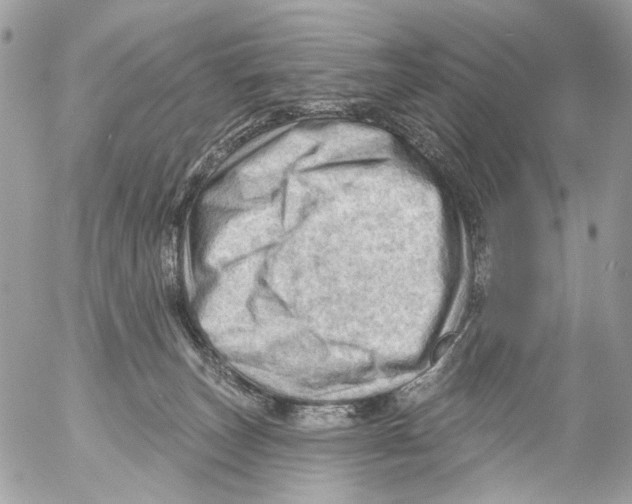 X0000053080179200508081254