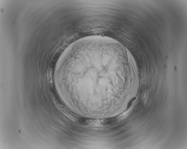 X0000053080182200508081254