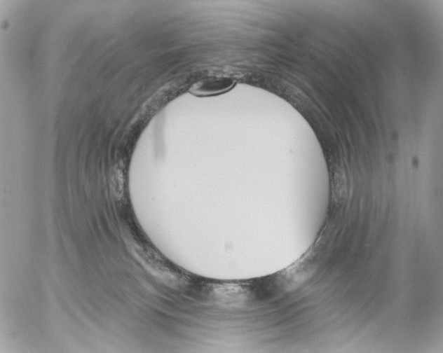 X0000053080183200508081254