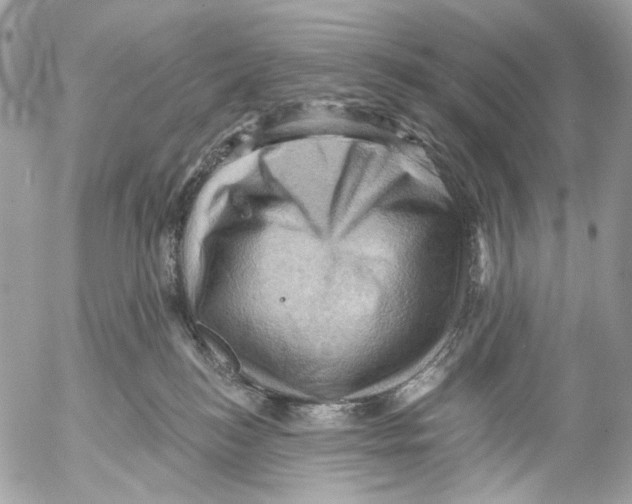 X0000053080184200508081254