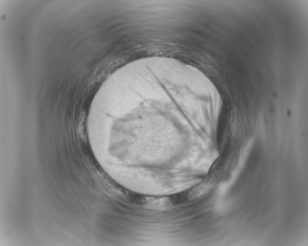 X0000053080185200508081254