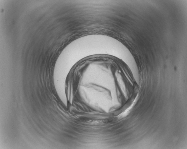 X0000053080186200508081254