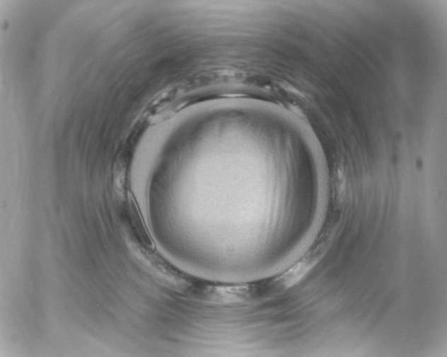 X0000053080188200508081255