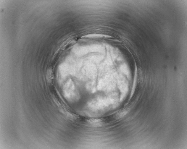 X0000053080189200508081255