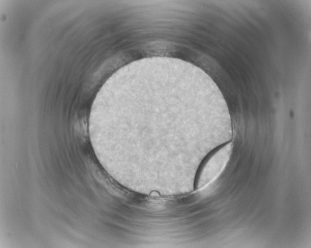 X0000053080190200508081255