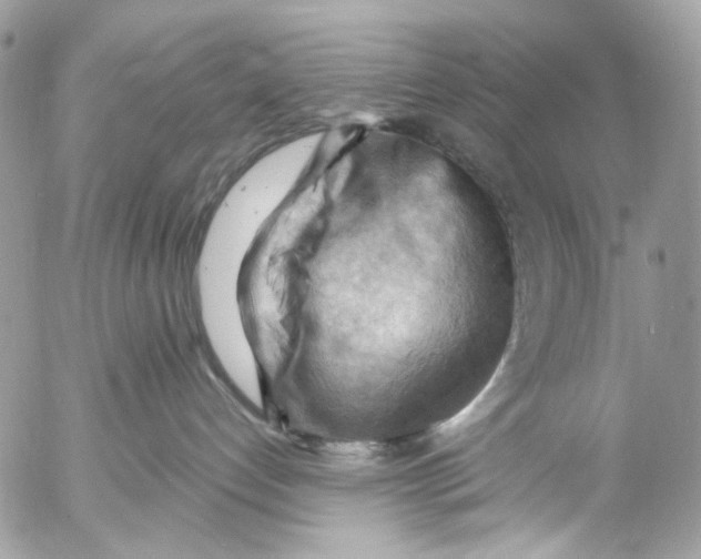 X0000053080192200508081255