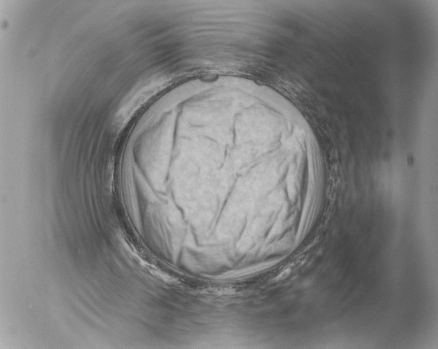 X0000053080194200508081254