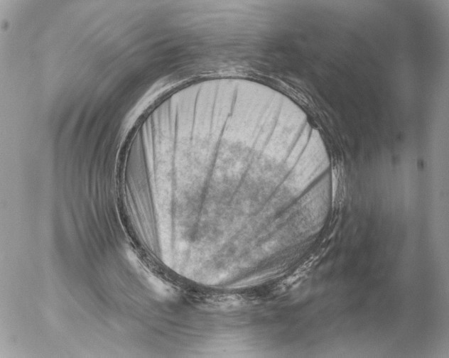 X0000053080195200508081254