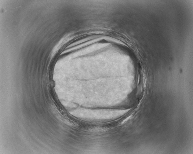 X0000053080198200508081254