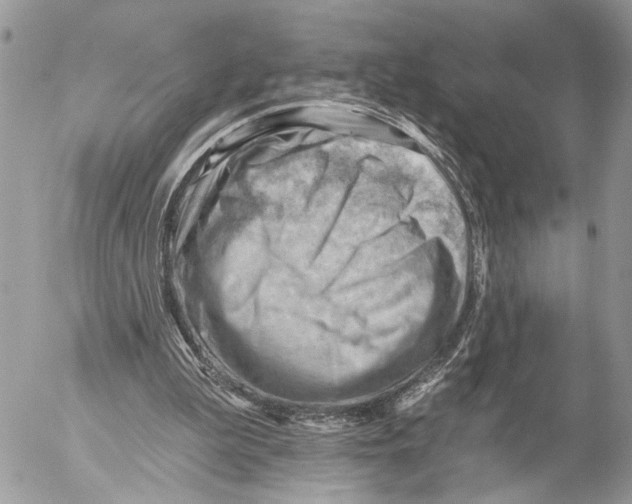 X0000053080199200508081254