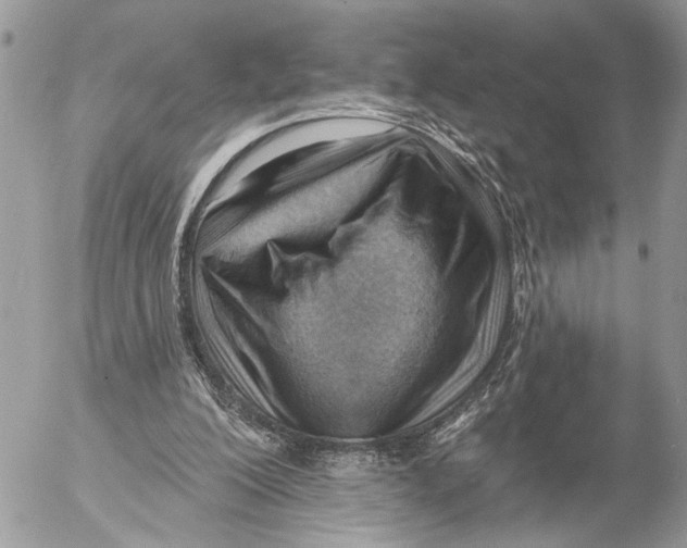 X0000053080200200508081254