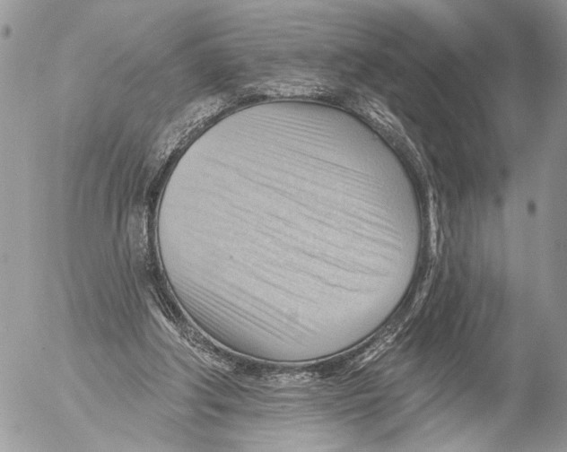 X0000053080202200508081254