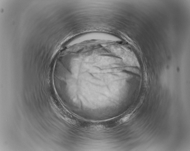 X0000053080203200508081254