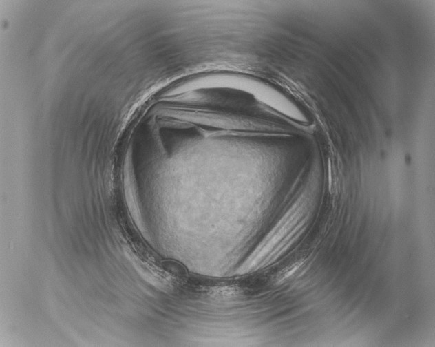 X0000053080204200508081254