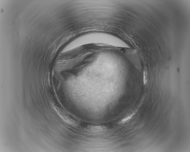 X0000053080205200508081254