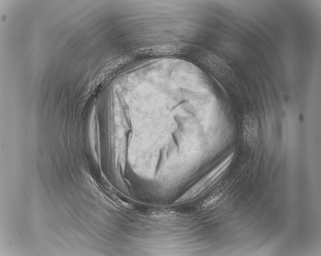 X0000053080206200508081254