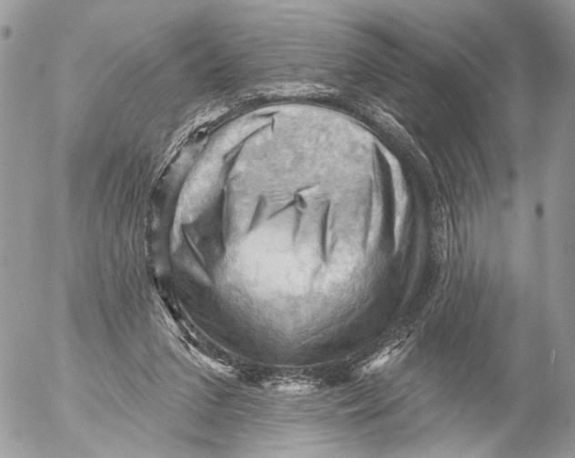 X0000053080207200508081254