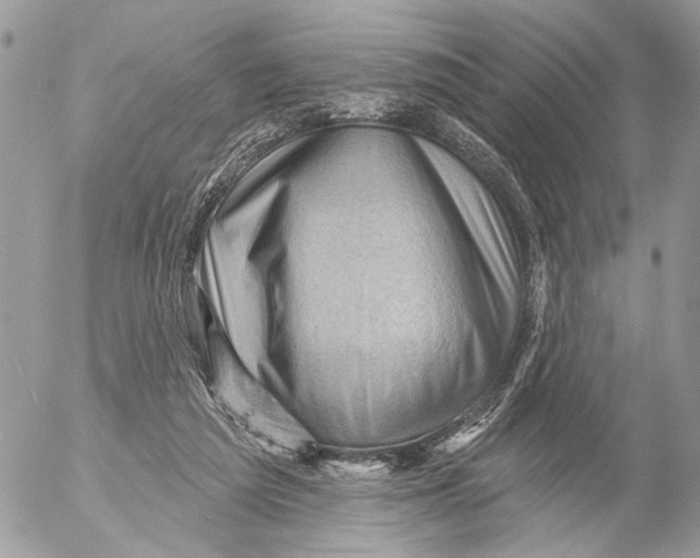 X0000053080209200508081254