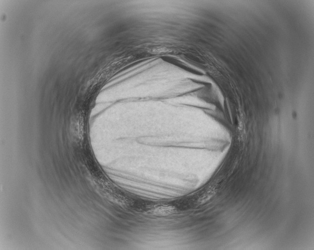 X0000053080210200508081254