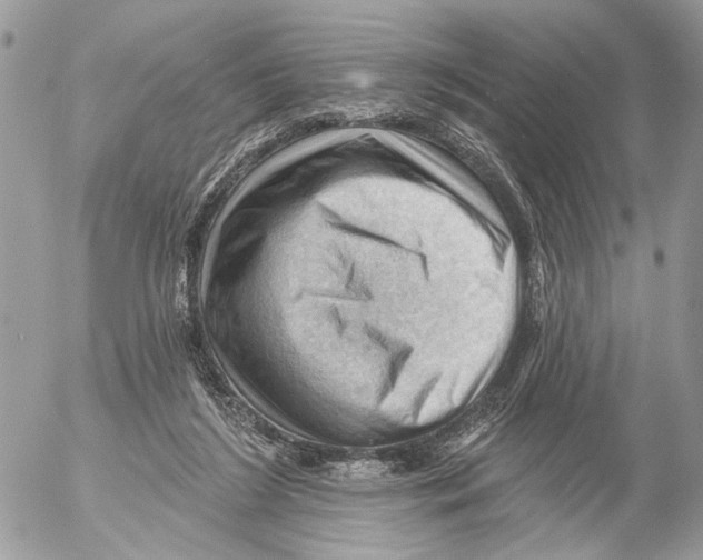 X0000053080212200508081253