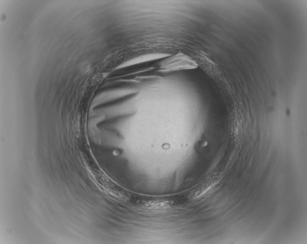 X0000053080213200508081253