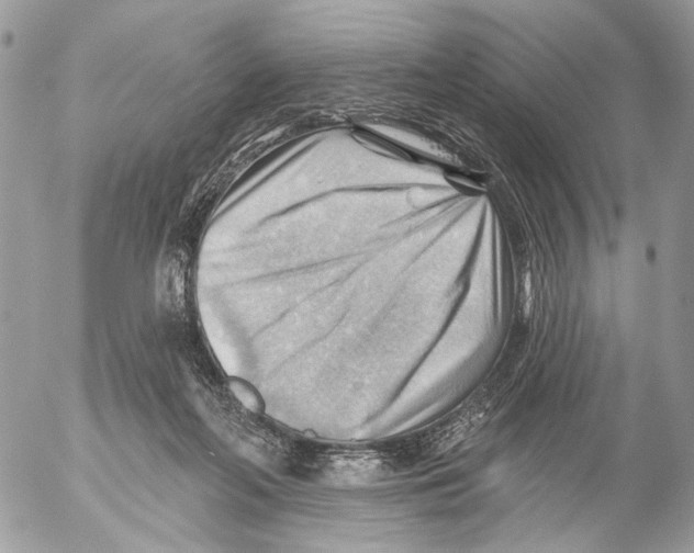 X0000053080214200508081253