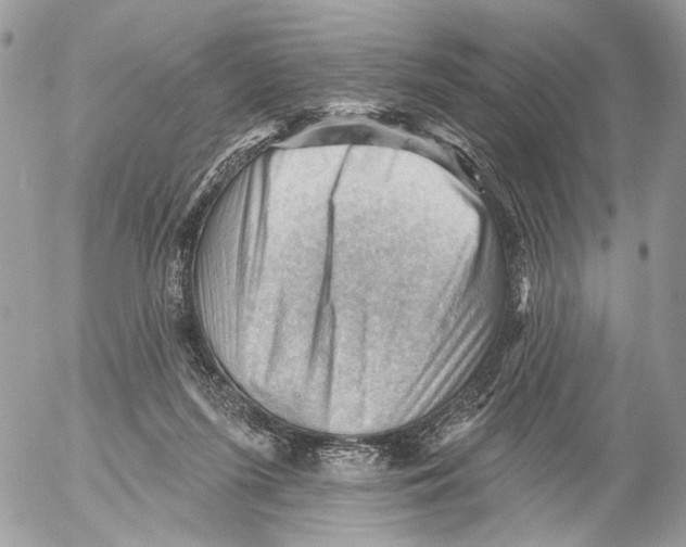 X0000053080215200508081253