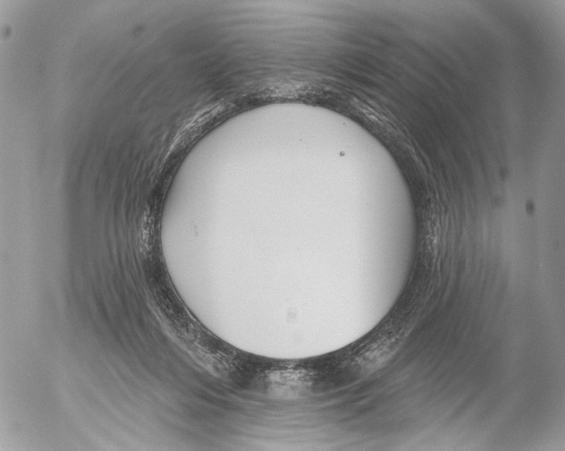 X0000053080216200508081253