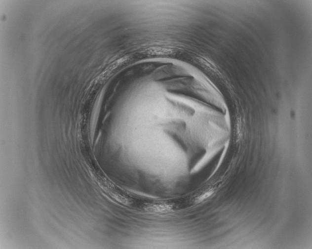 X0000053080217200508081253