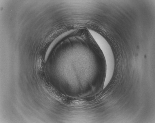 X0000053080219200508081253